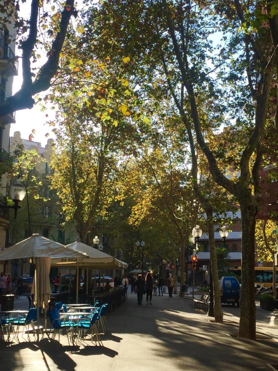 Charm Miro Apartment Barcelona Luaran gambar